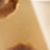 Écaille