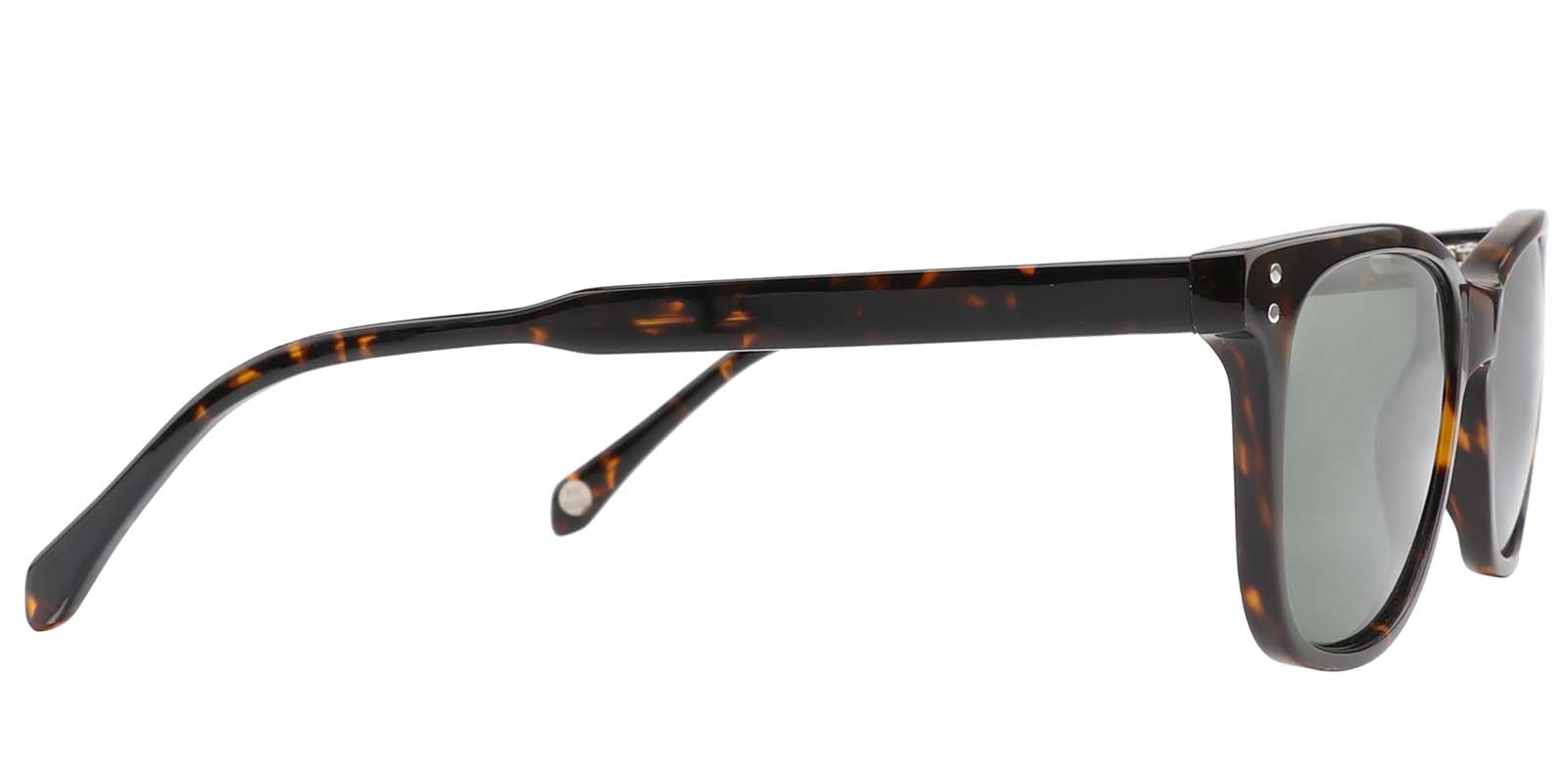 EYE8003S-Grefor-Écaille