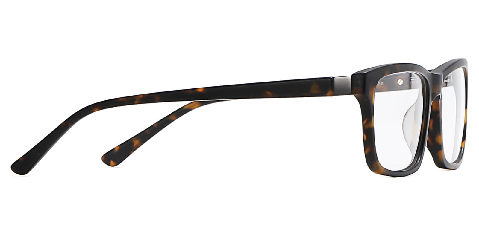 EYE8078-Sunth-Écaille