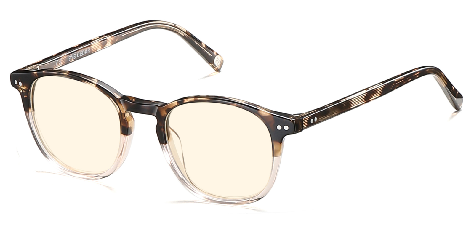 BY8981TB-Jemee-dégradé