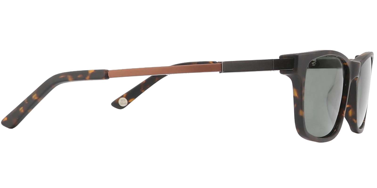EYE8062S-Bligh-Écaille