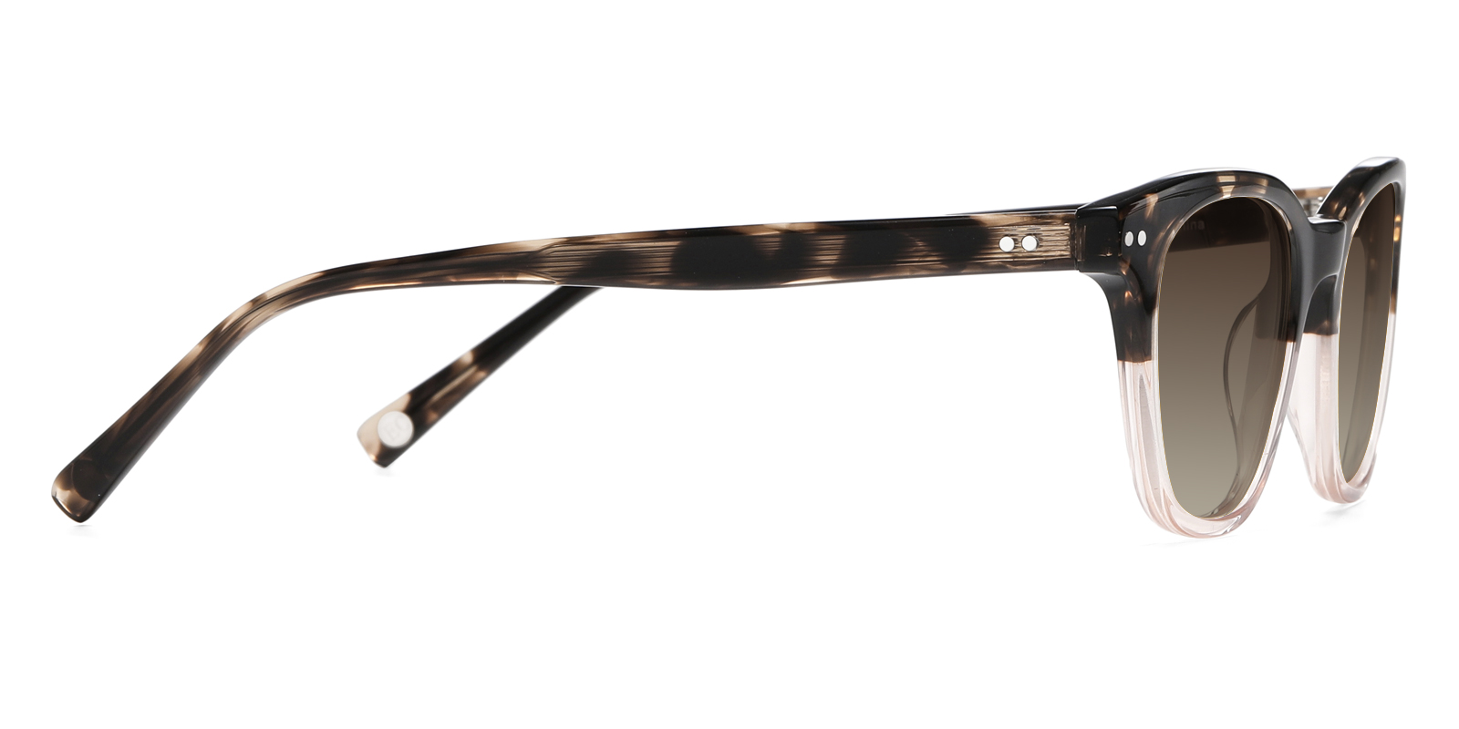 S8975TL-Ublich-Écaille