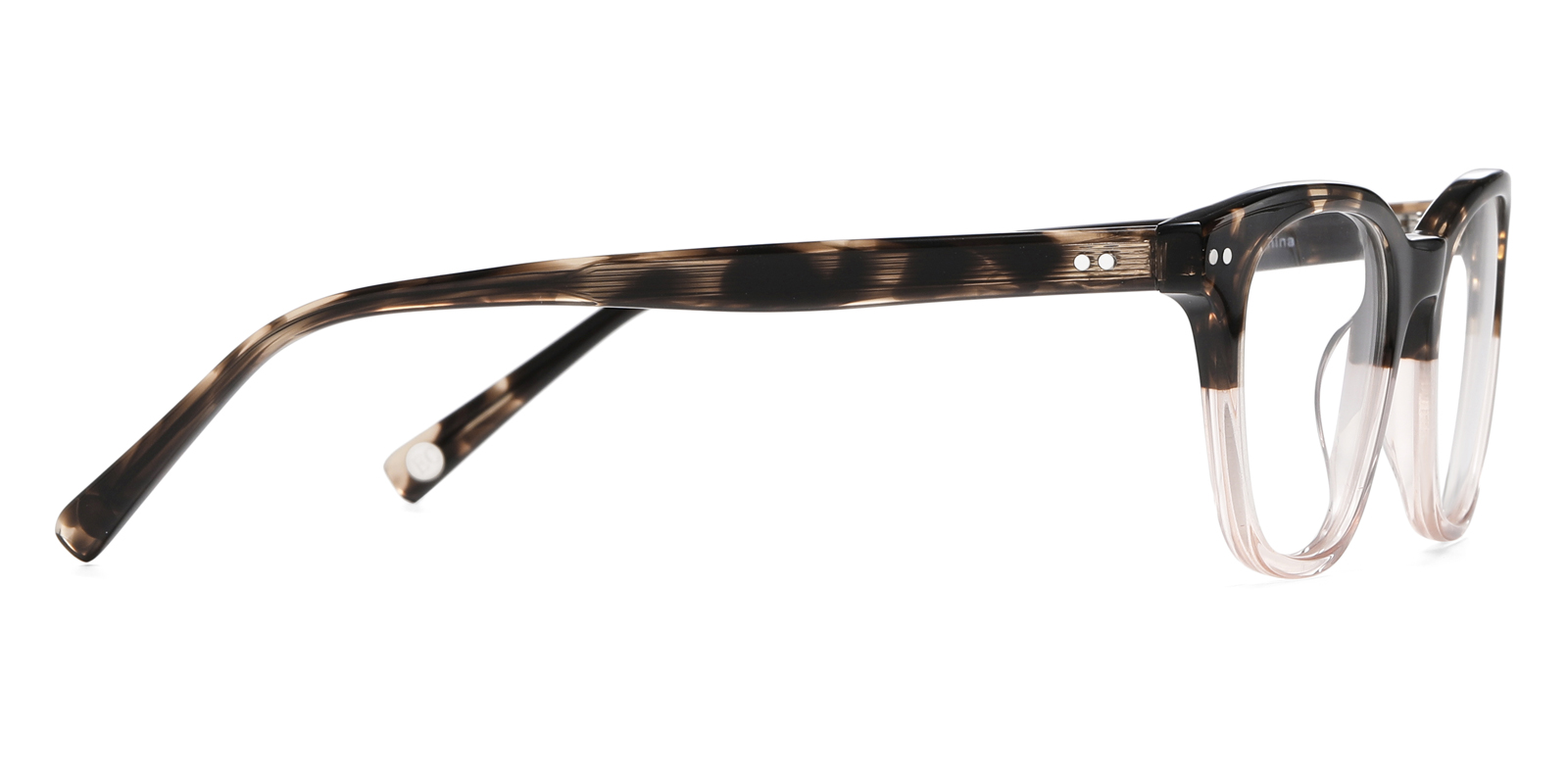 8975TL-Ublich-Écaille