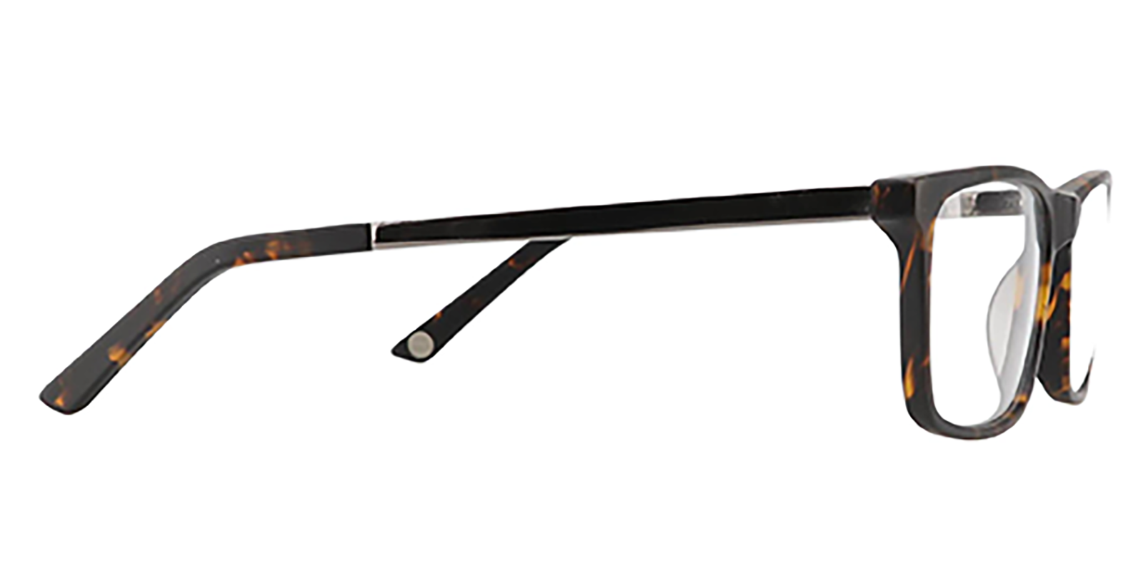 EYE8062-Bligh-Écaille