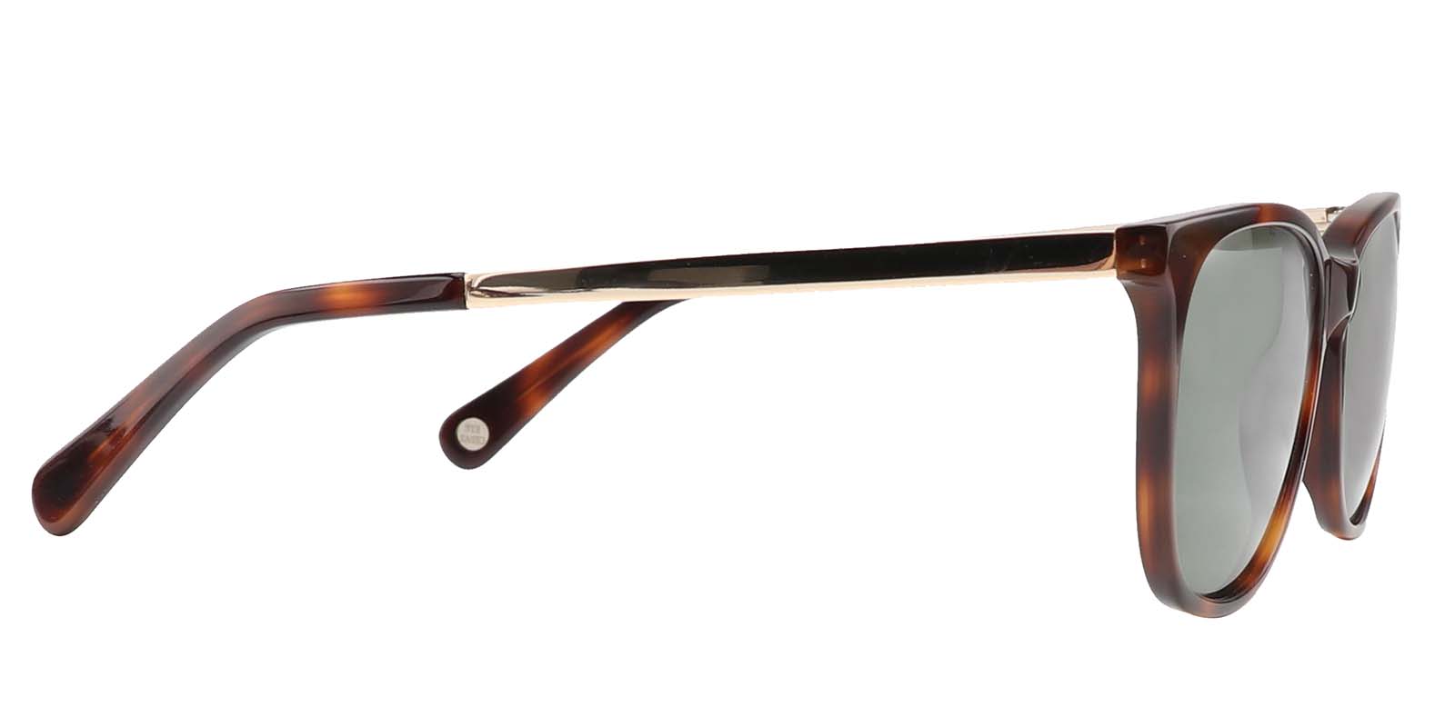 EYE8005-1S-Spolia-Écaille